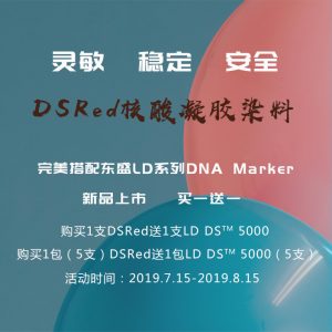 xpj.com官网上新丨DSRed无毒核酸凝胶染料/LD DNA Marker