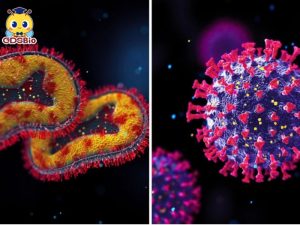 猴痘与新冠病毒：了解两种病毒的相似之处与不同之处