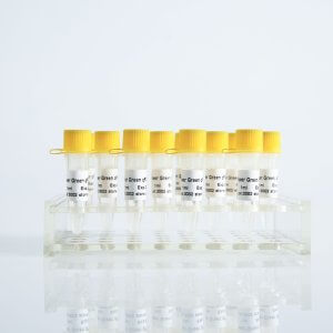 Super SYBR Green qPCR Mix