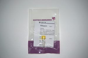RNasin（RNase 抑制剂）（R2011）
