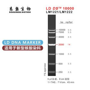 LD DS10000 DNA Marker LM1221/LM1222