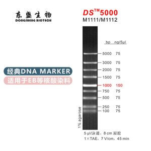 DS5000 DNA Marker M1111/M1112