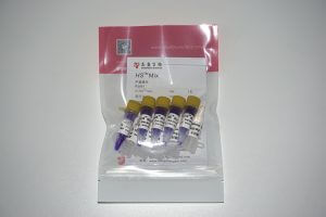 HS Mix (P2081-P2082)