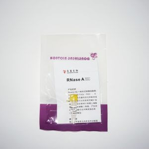 RNase A冻干粉末 N9047