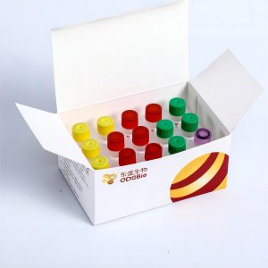 Fast DNA Methylation Bisulfite Kit KE004-A KE004-B