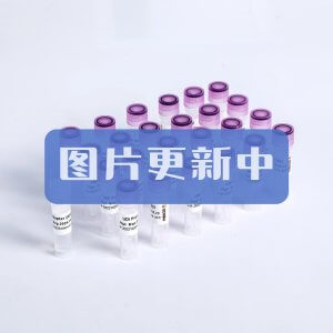 Super ECL Kit D1001 D1002 D1003