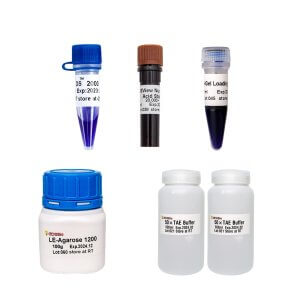 DNA电泳产品套装II